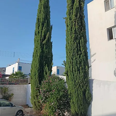 Summer Bliss Apartment Peyia