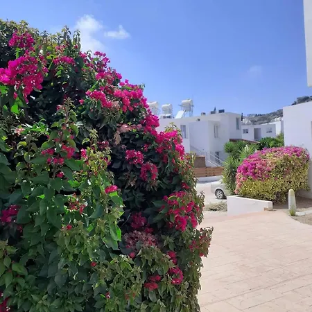 Summer Bliss Apartment